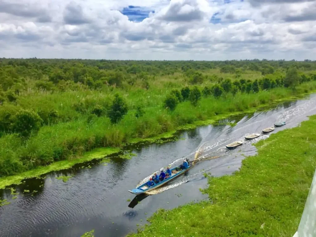 4. Rừng Quốc Gia U Minh Thượng